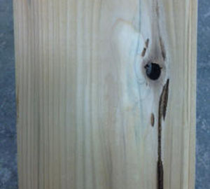 Cedar Missing Knots Dry Rot