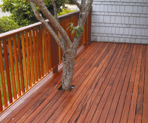 Tigerwood Deck Tigerwood Deck